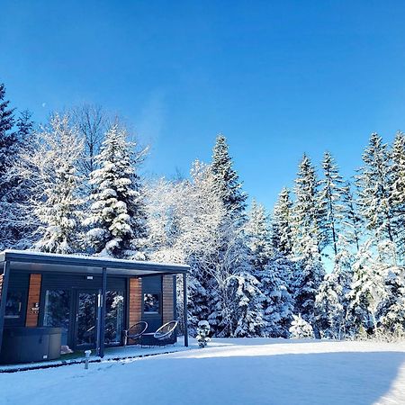 Resort Na Jasi Zrece Bagian luar foto